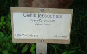 Botanischer Garten Berlin Infos, Eintrittspreise, Öffnungszeiten usw.
