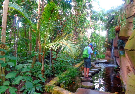 Botanischer Garten Berlin Infos Eintrittspreise Offnungszeiten Usw